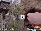 Chlapík si na strome postavil chatrč