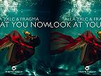 Look At You Now (Extended Mix)