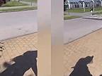 Ukrajinská klasika v Prahe