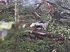 Pád Ruského lietadla An-24 nik neprežil