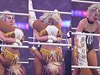 Niečo z amerického ženského wrestlingu, divákom sa to náramne páčilo