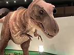 A ako znel ten Tyranosaurus rex? (Japonsko)