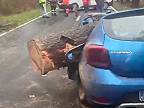 22-ročnú ženu počas jazdy v Dacii Sandero zasiahla padajúca borovica, prežila