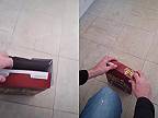 Už vieš, ako správne zatvárať škatuľu od cereálií? (lifehack)