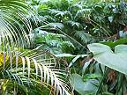 SONIC MUSIC - In The Jungle ( Hit 2026 )
