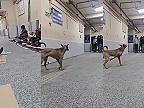 Medzičasom v nemocnici v Naí Dillí