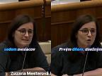 Vláda a jej dôvera