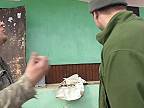 REšTAVR akcia u Bučkou - Habovresky