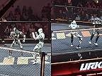V Číne už je MMA úplne na inej úrovni, v klietke proti sebe bojujú roboty!
