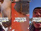 Už ťa niekedy uhryzol kôň?