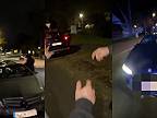 BMW zámerne vrazilo do ľudí pri spore rodín v Nemecku, polícia strieľala na auto