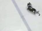 Marian Hossa hockey accidentally