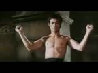 Chuck Norris vs. Bruce Lee: Sexy Kung-Fu vetry