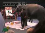 Marika Gombítová - Cirkusový kôň