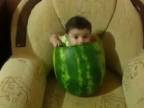 Bábo v melóne