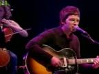 Noel Gallagher - Wonderwall (Live 2010)