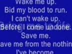 Evanescence - Bring me to life + text