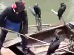 Ako sa lovia ryby v Čine