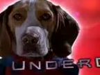 Underdog (Superpes) kinofilm