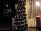 Najkrajší vianočný stromček v Komárne