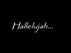 Hallelujah - Rufus Wainwright text