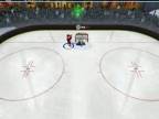 NHL 09 PC