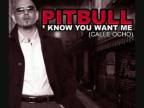 Pitbull - I know you want me (Dj Silver Balkan..)