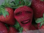 The annoying strawberry