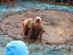 Babský wrestling v blate