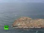 Psíka zachránili na mori po 22 dňoch po tsunami!