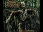 Carnal Disfigurement - Butchered Maggoty Face