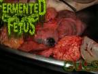 FERMENTED FETUS - Guts