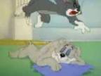 Tom a Jerry - Kľud prosím!