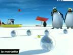 Parta tučňáku se raduje při veselé písničce