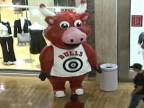 Benny the Bull