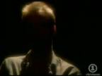 Sting - Fields of Gold (1993)