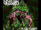 Splatterhouse - In The Swamps You Rot