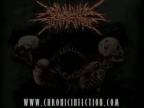 Chronic Infection - Grinding Flesh