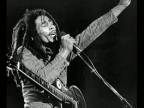 Bob Marley and the Wailers - "Stand Up Jamrock"
