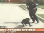 Rottweiler zaútočil na policajta, schytal elektrošok
