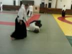 Aikido bratislava, www.aikidojo.sk