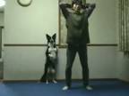 Synchrónne cvičenie pána a jeho psa