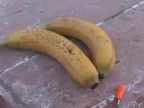 Dá sa banánom zatĺcť klinec?