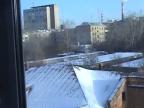 V Rusku už aj vrany snowbordujú