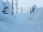 Aj Japonci sa tešia zo snehu
