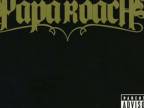 Papa Roach - What Do You Do