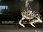 Najrýchlejší štvornohý robot - gepard