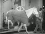 Laurel a Hardy - zvieratá