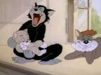 Tom a Jerry - Mačiatko