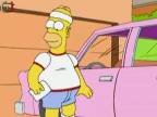 Homer vs tenis